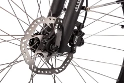 Deluxe Sport Lady Gang Trekking E-Bike Scheibenbremsen ^ Saxonette Hot