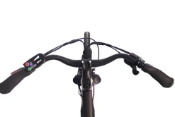 Touring Sport - E-Trekkingbike 7 Gang Kettenschaltung ^ SAXXX Outlet