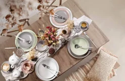 Seltmann Weiden Frühstücksteller Amina ø 22,7 cm 6er Set Rosé Online