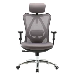 Bürostuhl Schreibtischstuhl, ergonomisch, verstellbare Lordosenstütze, 150kg belastbar ~ ohne Fußstütze, grau ^ SIHOO Best