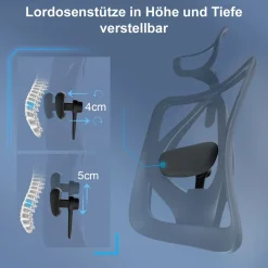 Bürostuhl Schreibtischstuhl, ergonomisch, verstellbare Lordosenstütze, 150kg belastbar ~ ohne Fußstütze, grau ^ SIHOO Best
