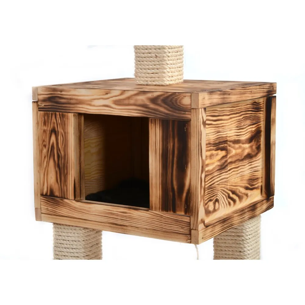 Silvio Design Katzenbaum Finn junior New