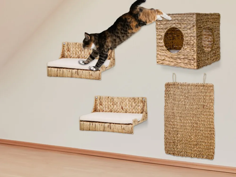 Rohrschneider Silvio Design Kletterwand - versch. Größen Hot