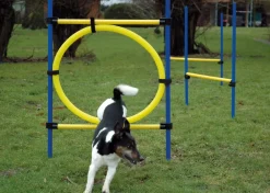 Dobar 3-teiliges Agility Sprung-Set, mit 2 Hürden und Sprungreif Best
