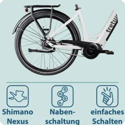Tretwerk Amber Nexus E Bike Damen 28 Zoll Elektrofahrrad 155 - 185 cm Hollandrad Tiefeinsteiger mit 8 Gang Nabenschaltung weiß Best