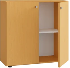 Aktenschrank mit Drehtüren Lona 2 Fächer ^ VCM Best