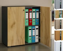 Aktenschrank mit Drehtüren Lona 2 Fächer ^ VCM Best
