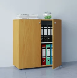 Aktenschrank mit Drehtüren Lona 2 Fächer ^ VCM Best