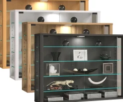 Glasvitrine hängend | Vitrine Glas mit ESG-Sicherheitsglas | Maße: H. 60 x B. 83 x T. 18 cm | Hängevitrine Glas | Modern und platzsparend | Glas Vitrinenschrank - Vitrosa L ^ VCM