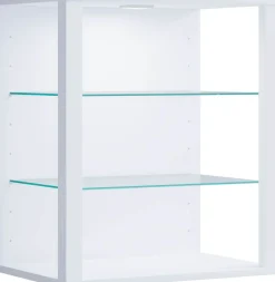 Vitrine hängend | Vitrine ohne Glasfronten | Maße ca. H. 60 x B. 52 x T. 35 cm | Hängevitrine | Modern und platzsparend | Vitrinenschrank - Glasol S ^ VCM Hot