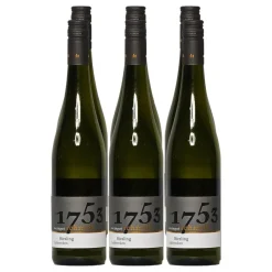 Weingut Schimdt Weingut Schmidt Obermoscheler Silberberg Riesling halbtrocken 12,0 % vol 6 x 0,75 Liter Hot