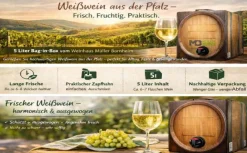 Weinhaus Müller Bornheim Pfalz Spätburgunder Rotwein trocken 13 % vol. 5 Liter Bag in Box Best