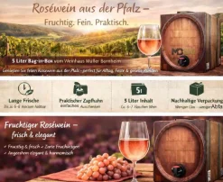 Weinhaus Müller Bornheim Pfalz Spätburgunder Rosé Wein lieblich 11 % vol. 5 Liter Bag in Box Outlet