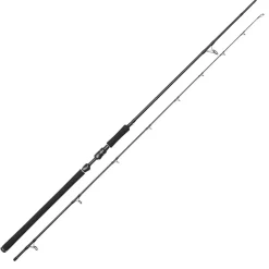 W3 Powercast 3rd 2,51m XXH 40-130g 2Sec Raubfischrute ^ Westin New
