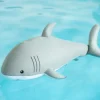 Westmann Pool Buddy versch. Ausführungen Clearance