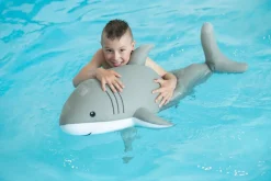 Westmann Pool Buddy versch. Ausführungen Clearance