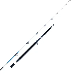 Sen Sea 25lbs 2,10m 30-300g Norwegenrute ^ WFT Sale