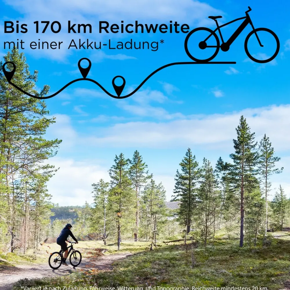 X1000 E Bike Mountainbike Fully 29 Zoll 10 Gänge Pedelec Herren 165 - 190 cm Elektrofahrrad 730Wh ^ Zündapp