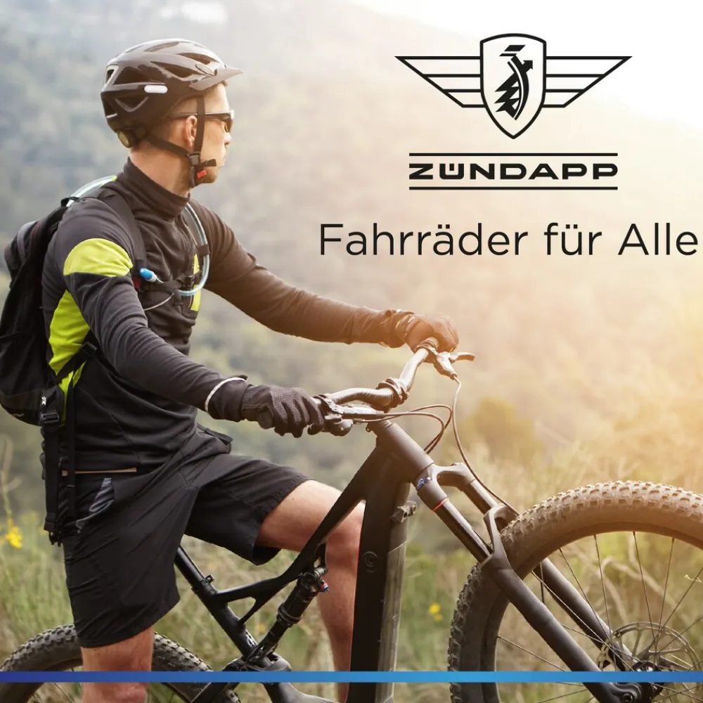 X1000 E Bike Mountainbike Fully 29 Zoll 10 Gänge Pedelec Herren 165 - 190 cm Elektrofahrrad 730Wh ^ Zündapp